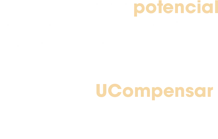 Gestion empresarial formal